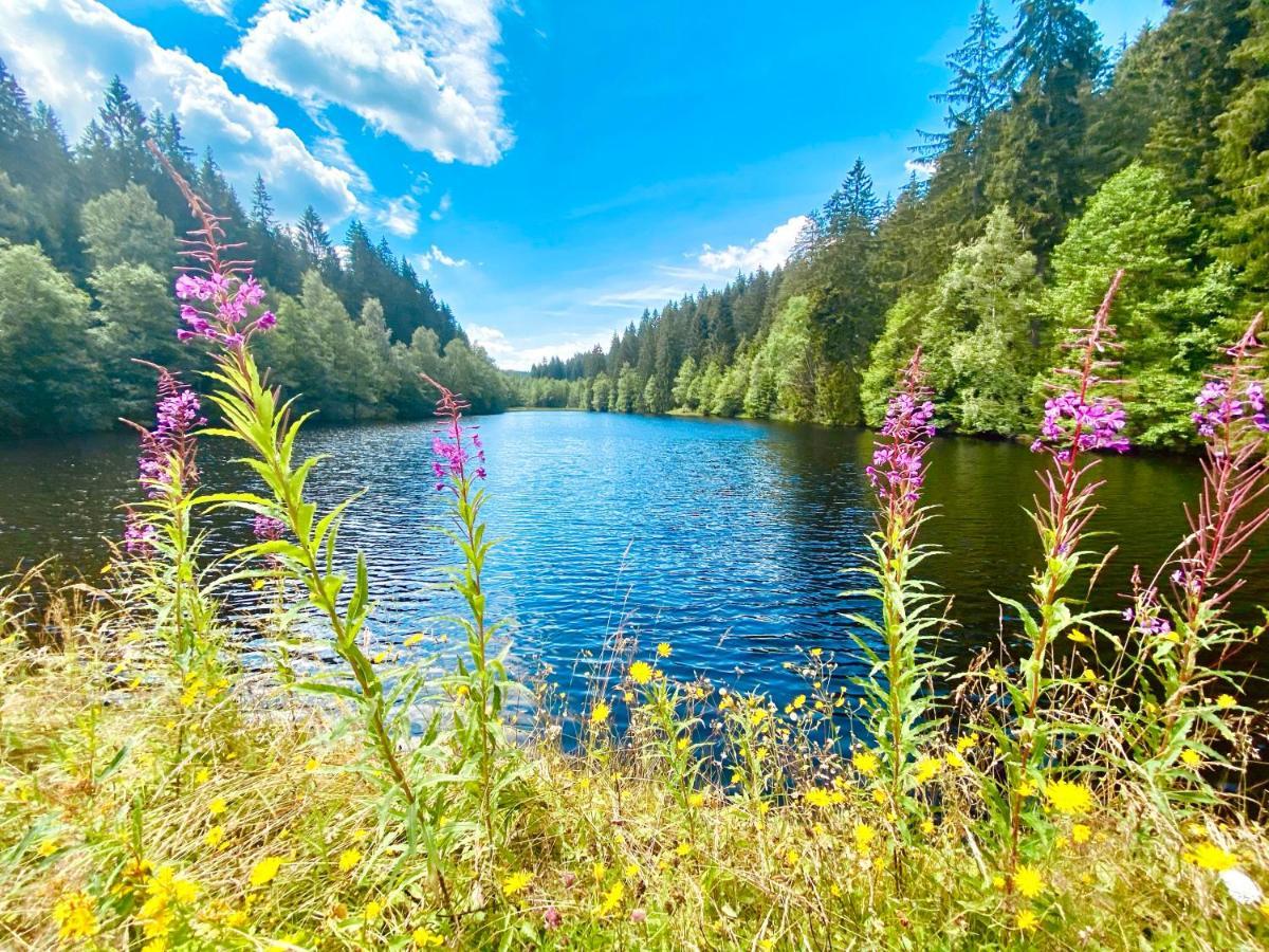 B&B Am Oker, Altenau, Harz Altenau  Buitenkant foto