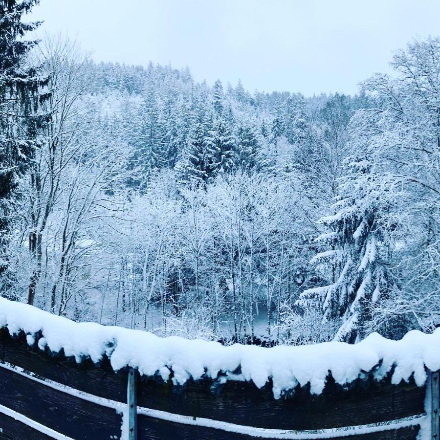 B&B Am Oker, Altenau, Harz Altenau  Buitenkant foto