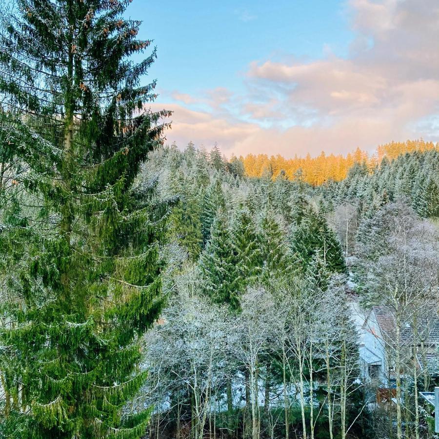 B&B Am Oker, Altenau, Harz Altenau  Buitenkant foto